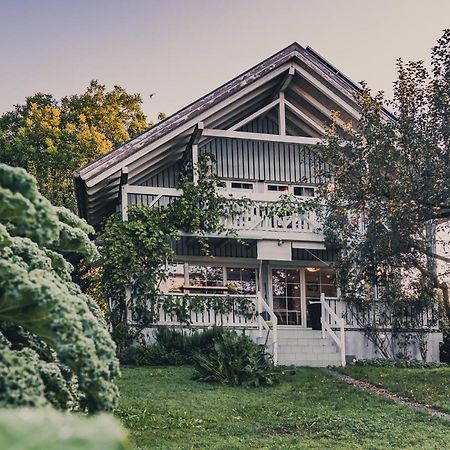 Gardenia-Altach, 2-4 P, Kueche, Garten, Terrasse, Parkplatz, Wifi, Ski Stellplatz Exteriör bild